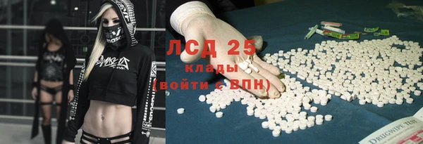 ECSTASY Ельня