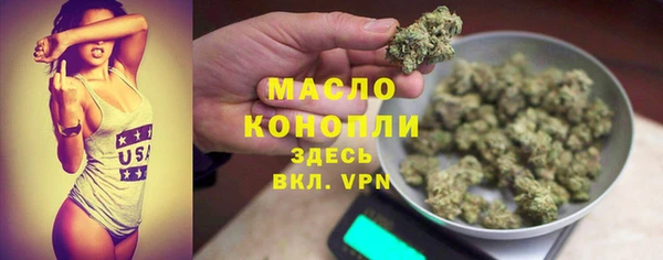 ECSTASY Ельня