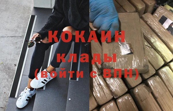ECSTASY Ельня