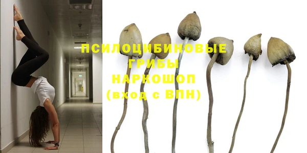 бутират Елизово