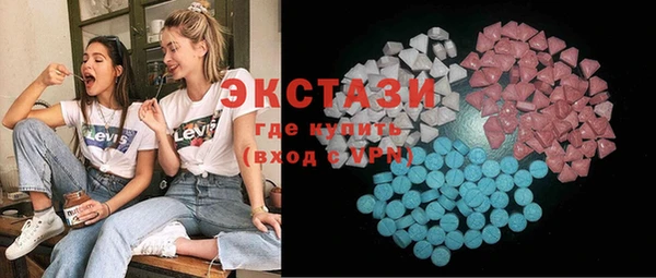 ECSTASY Ельня
