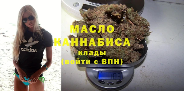 ECSTASY Ельня