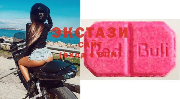 ECSTASY Ельня