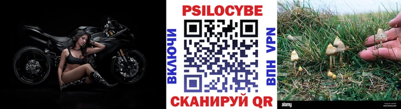 Купить где  Карабаш  Галлюциногенные грибы прущие грибы 